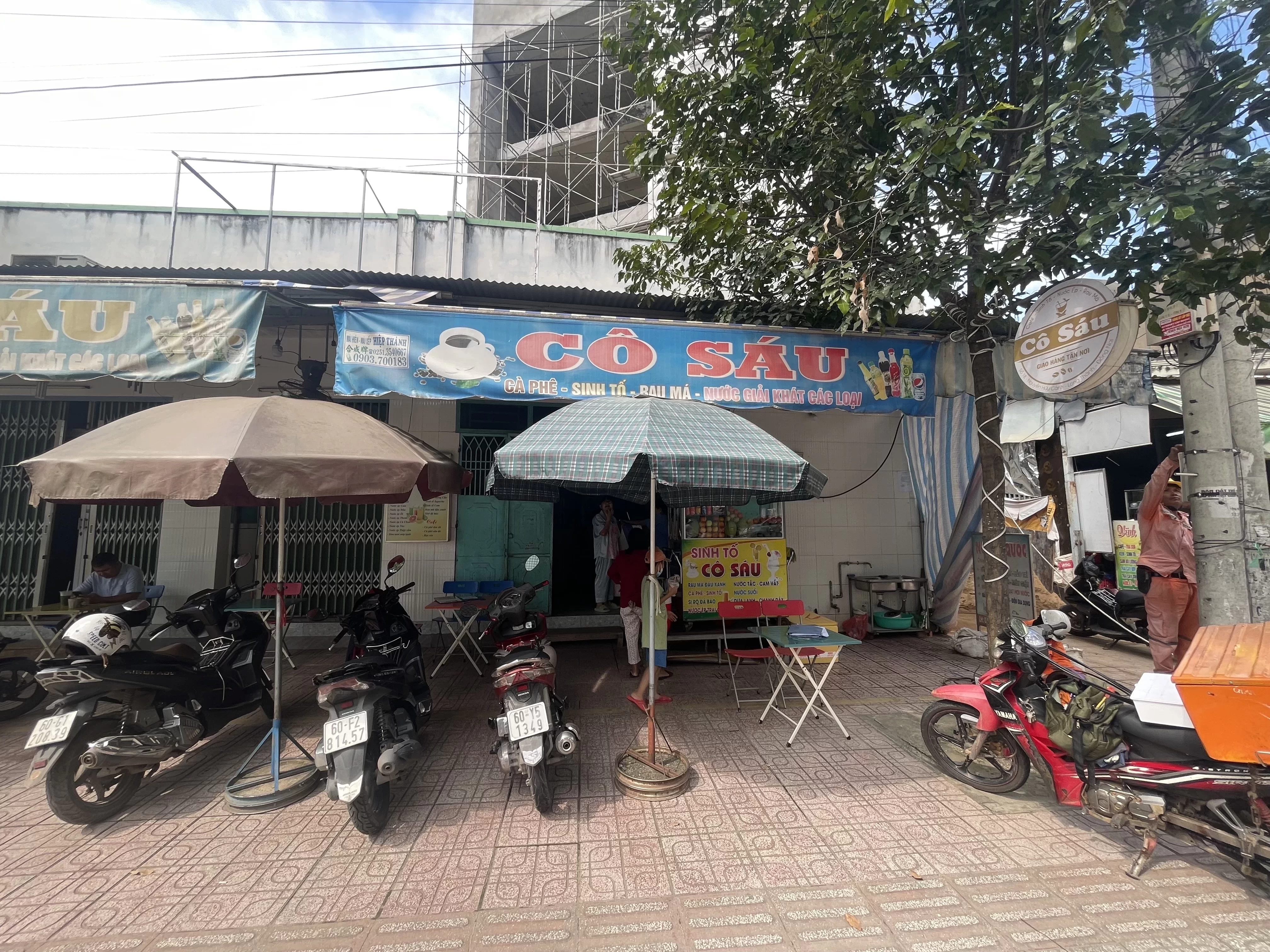 Sinh Tố Cô 6