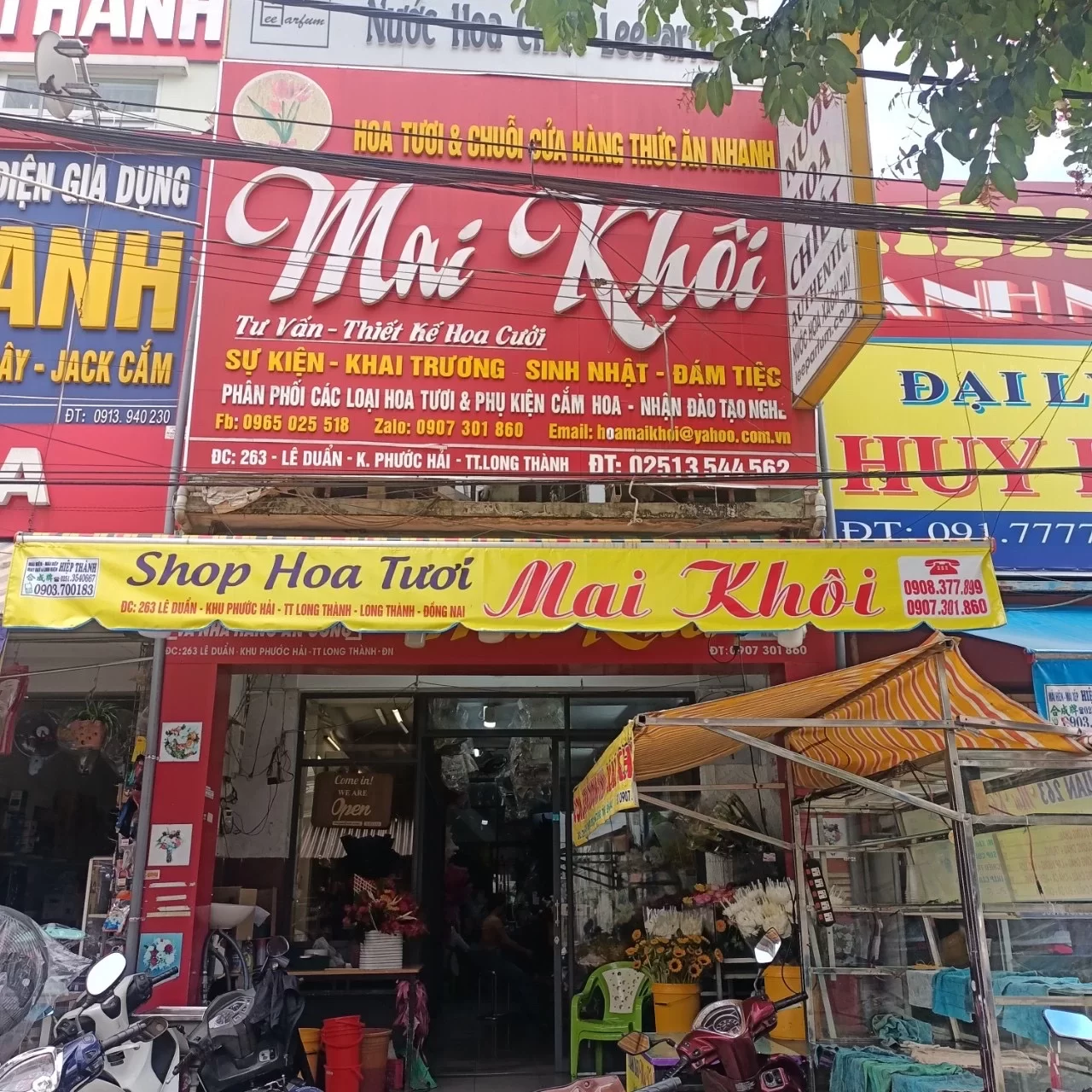 Shop Hoa Mai Khôi Long Thành