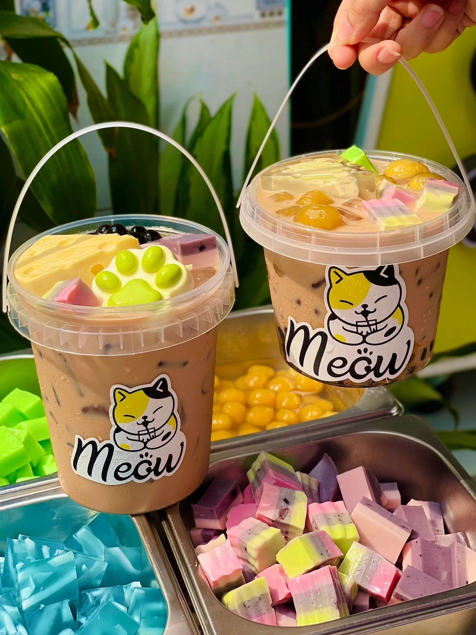 Meow Trà Sữa