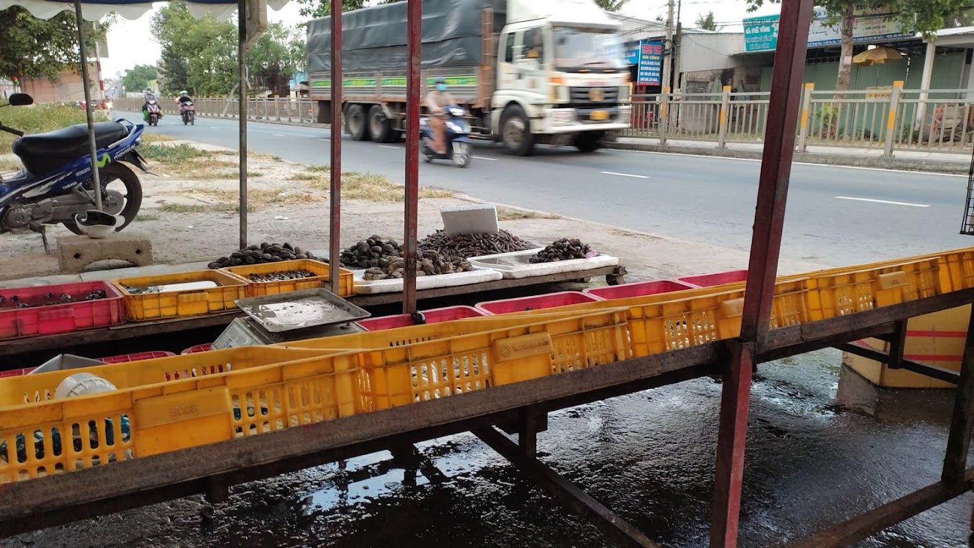 HẢI SẢN BẾN TRE