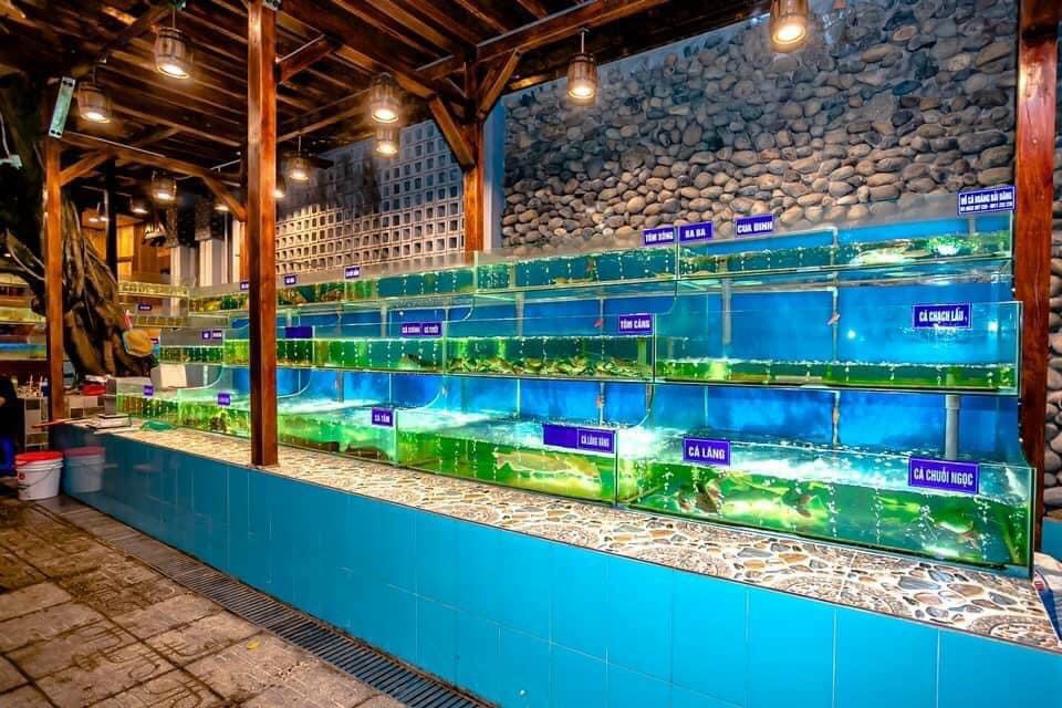 HẦM RƯỢU YUMI | HẦM RƯỢU BÌNH DƯƠNG| HẢI SẢN YUMI