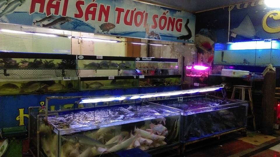 Tú cá Hải sản Vân Đồn